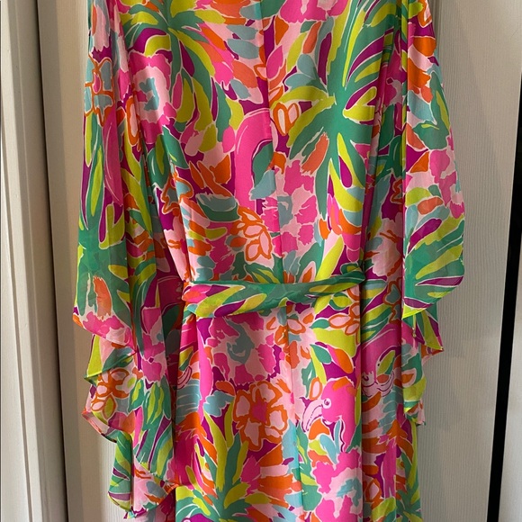 VERY RARE Lilly Pulitzer Marguerite Multi Lulu Dress - Picture 8 of 12
